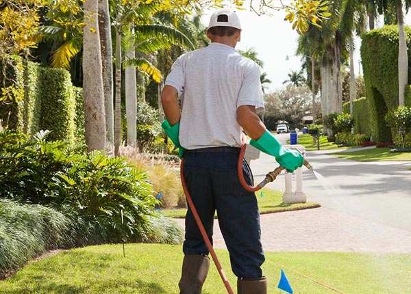 About North Tazewell VA Pest Control